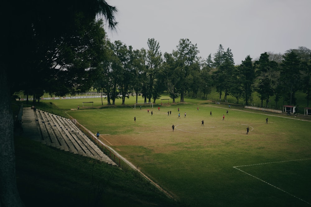 people on green grass field during daytime