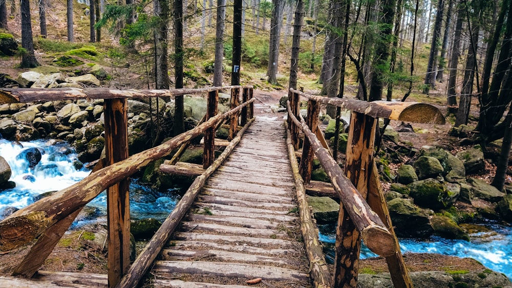 brown wooden bridge over river