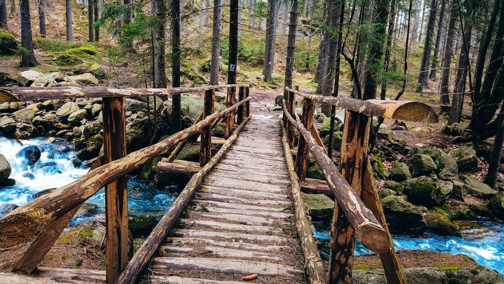 ponte di legno marrone sul fiume