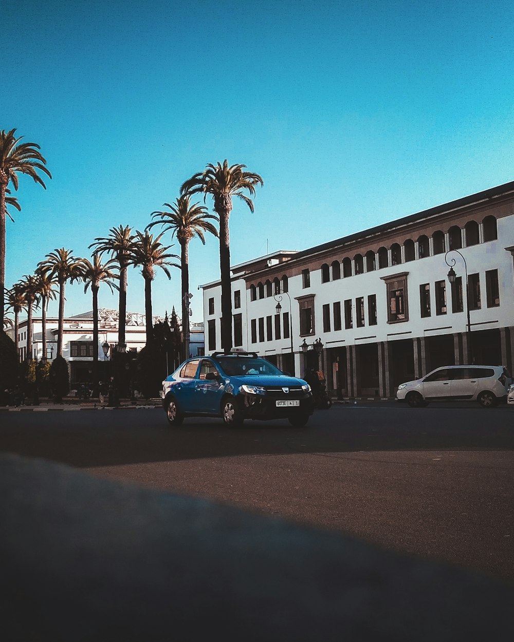 Coche azul aparcado junto a una palmera durante el día