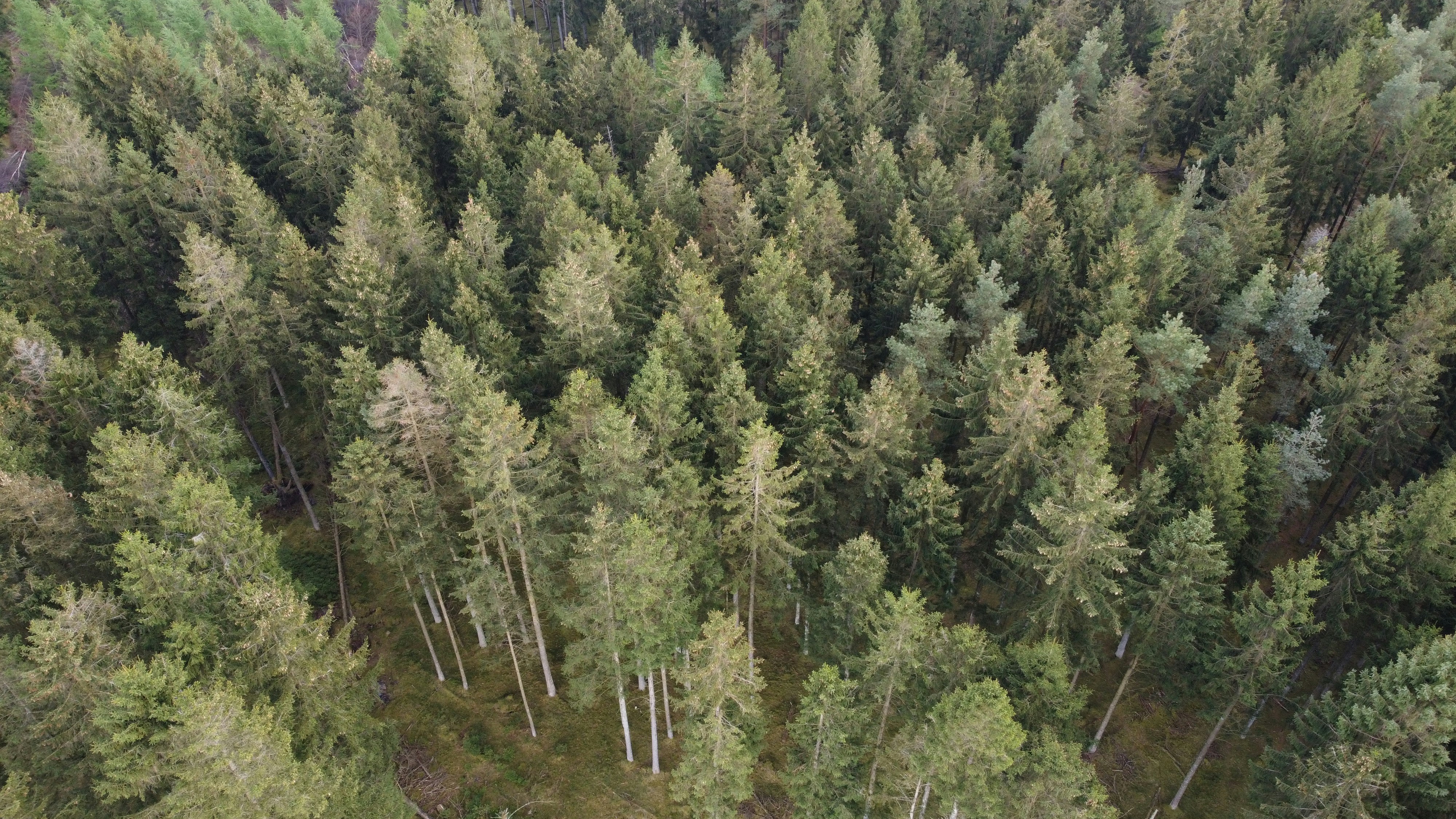 Photo by theisabildskov