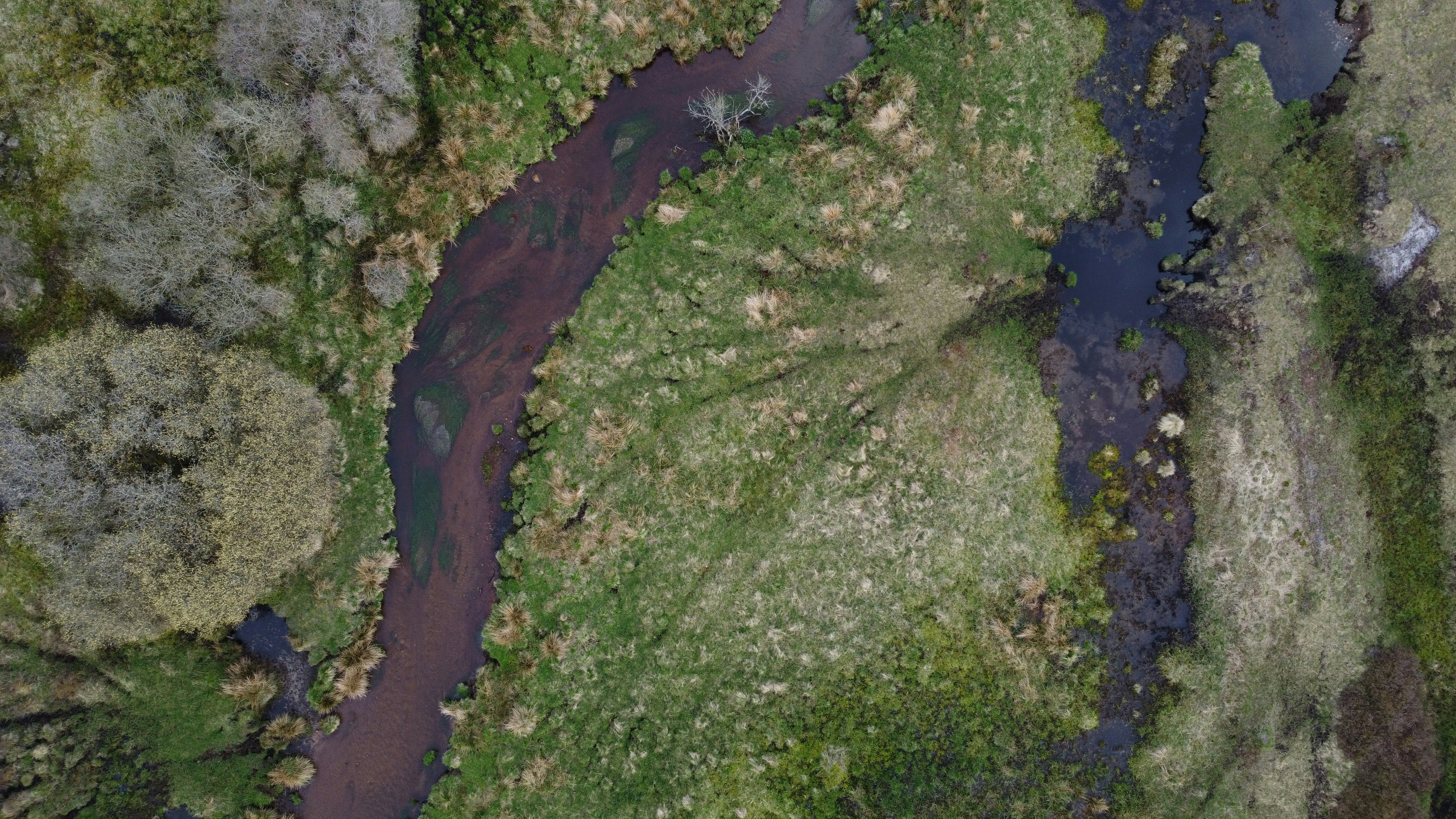 Photo by theisabildskov