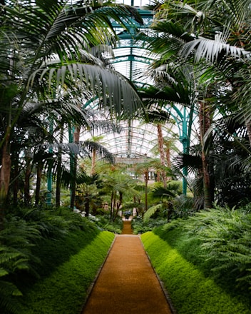  serres royales de Laeken