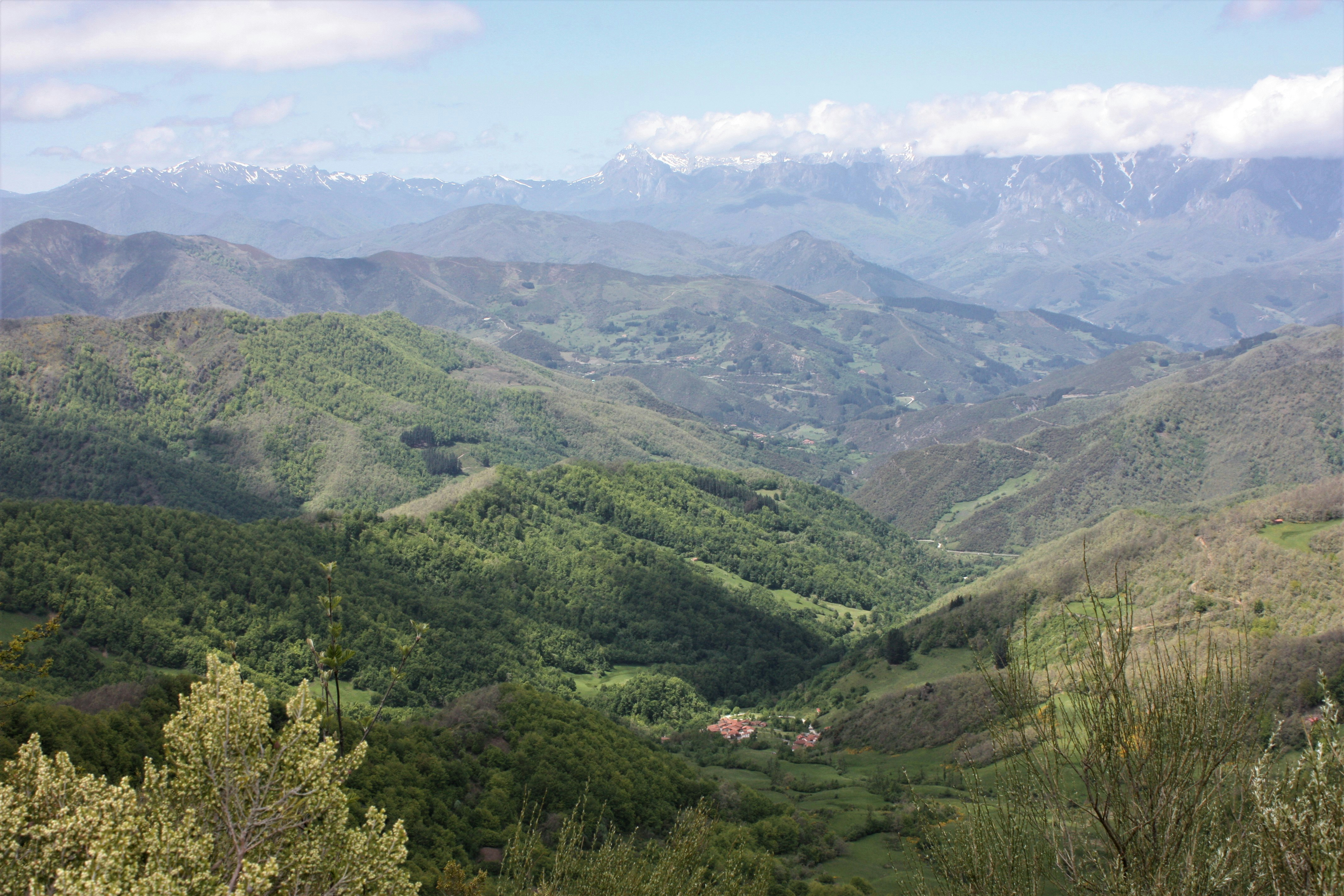 Photo by cantabriacalling