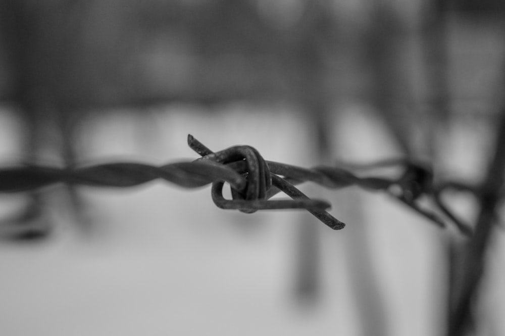 grayscale photo of metal wire
