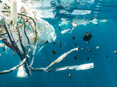 Poluare plastic