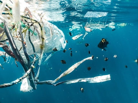 Plastic Elimination