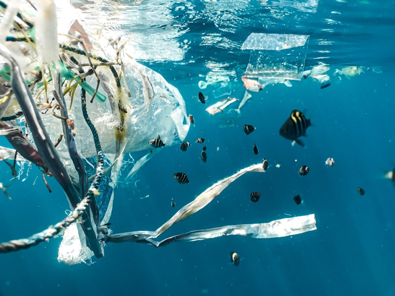 Image montrant l'impact environnemental du plastique