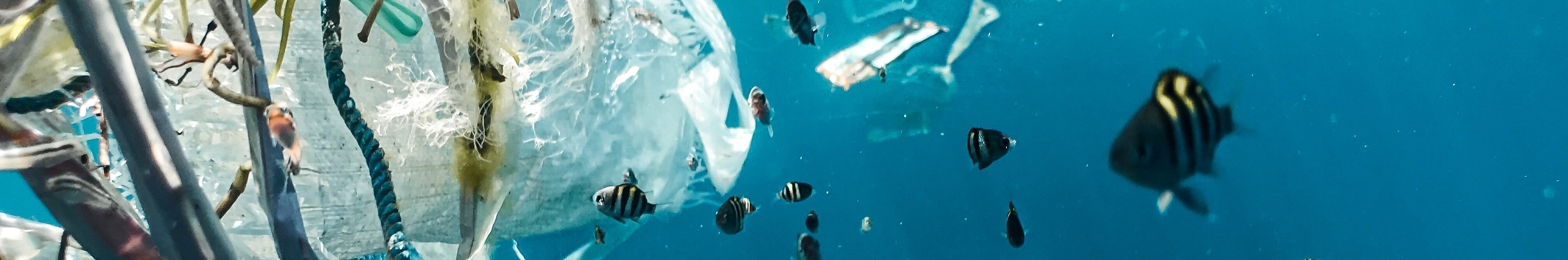 BASF responsible for the production of about 3 Mn tonnes of plastic waste in 2022