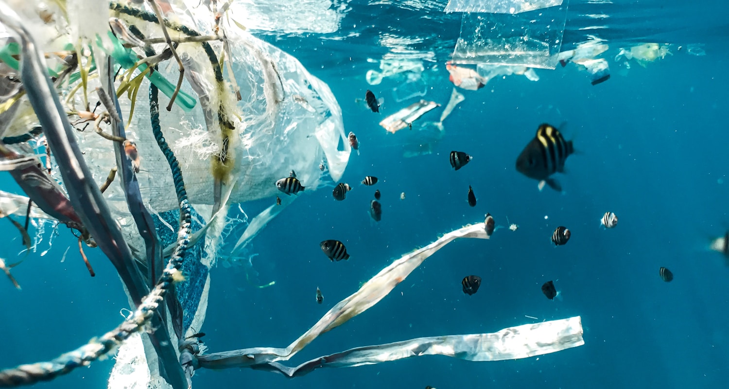 plastic particles in the ocean