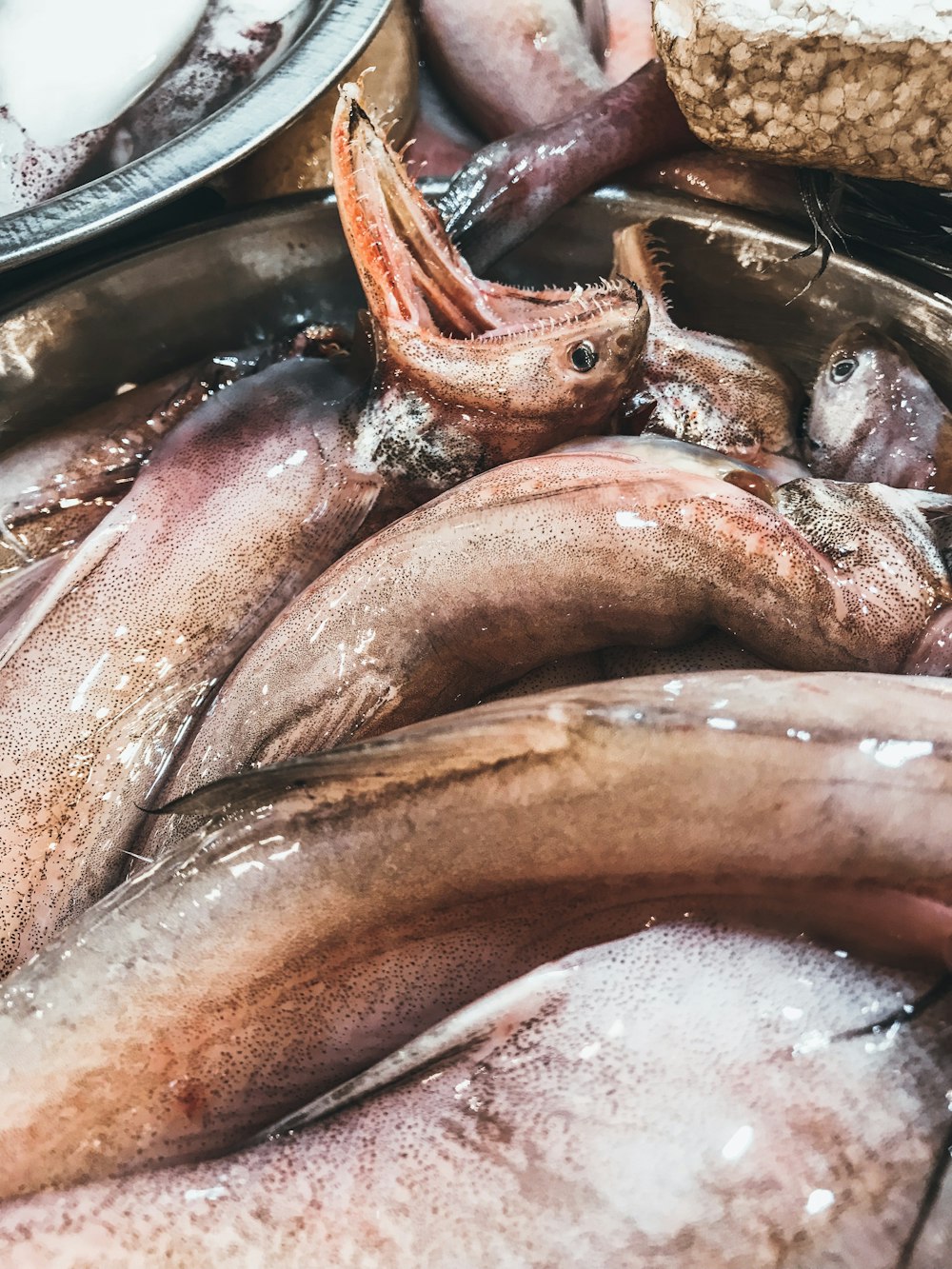 brown fishes on black round plate