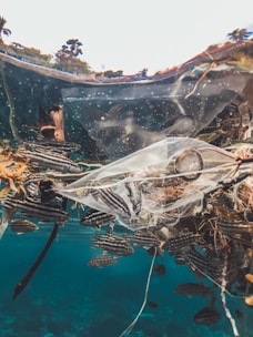 An underwater scene with various fish swimming near a plastic bag and other debris, set against a clear blue water background. The upper section of the image captures a reflection of the surface environment.