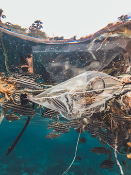 Underwater scene showing divers collecting marine debris during a funded environmental project.