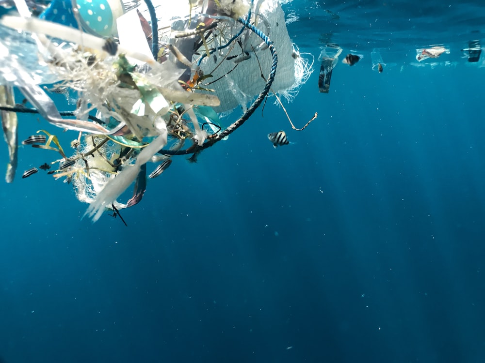 weiße und braune Boote auf blauem Meerwasser tagsüber