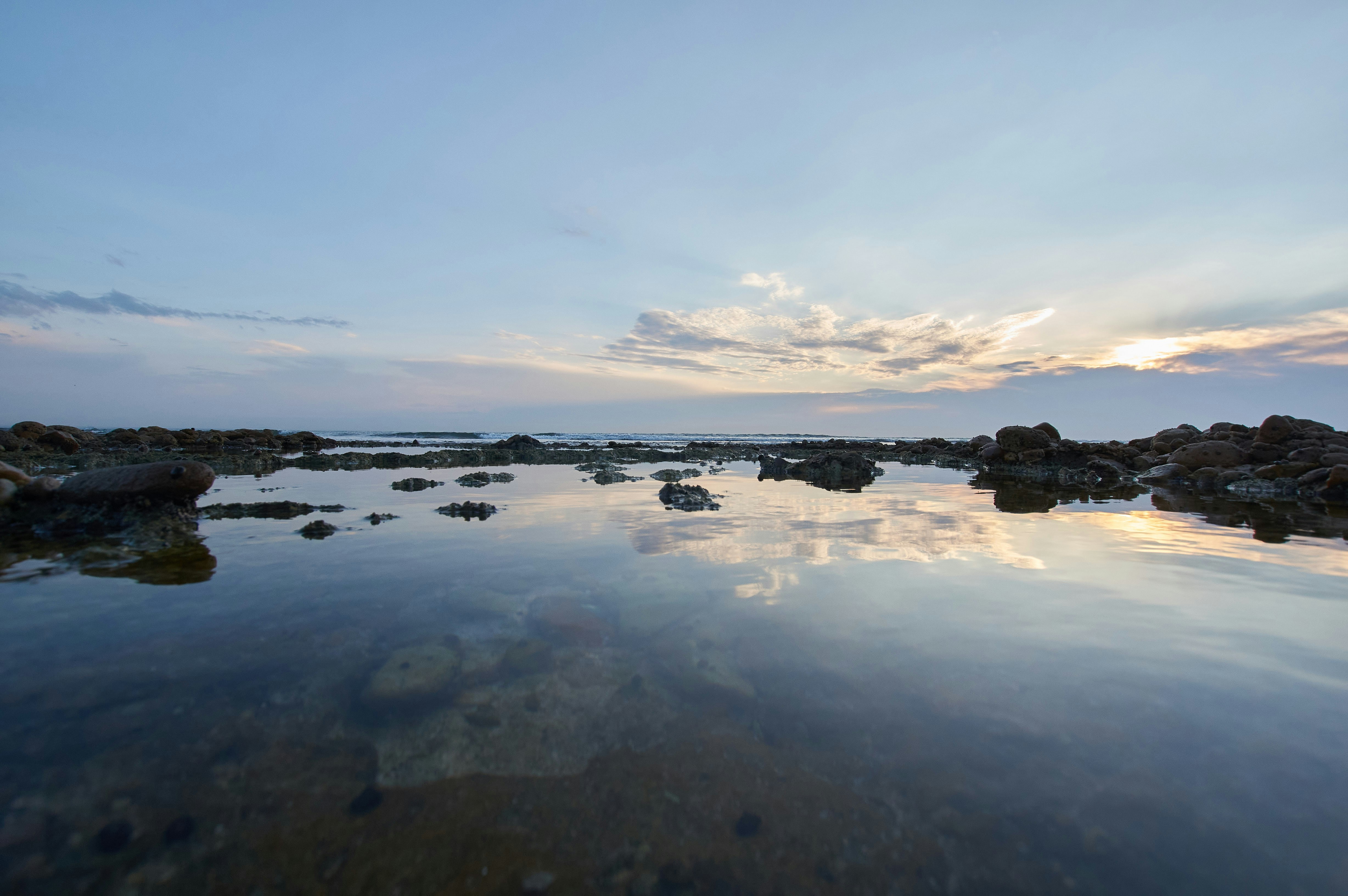 Photo by wolfgang_hasselmann