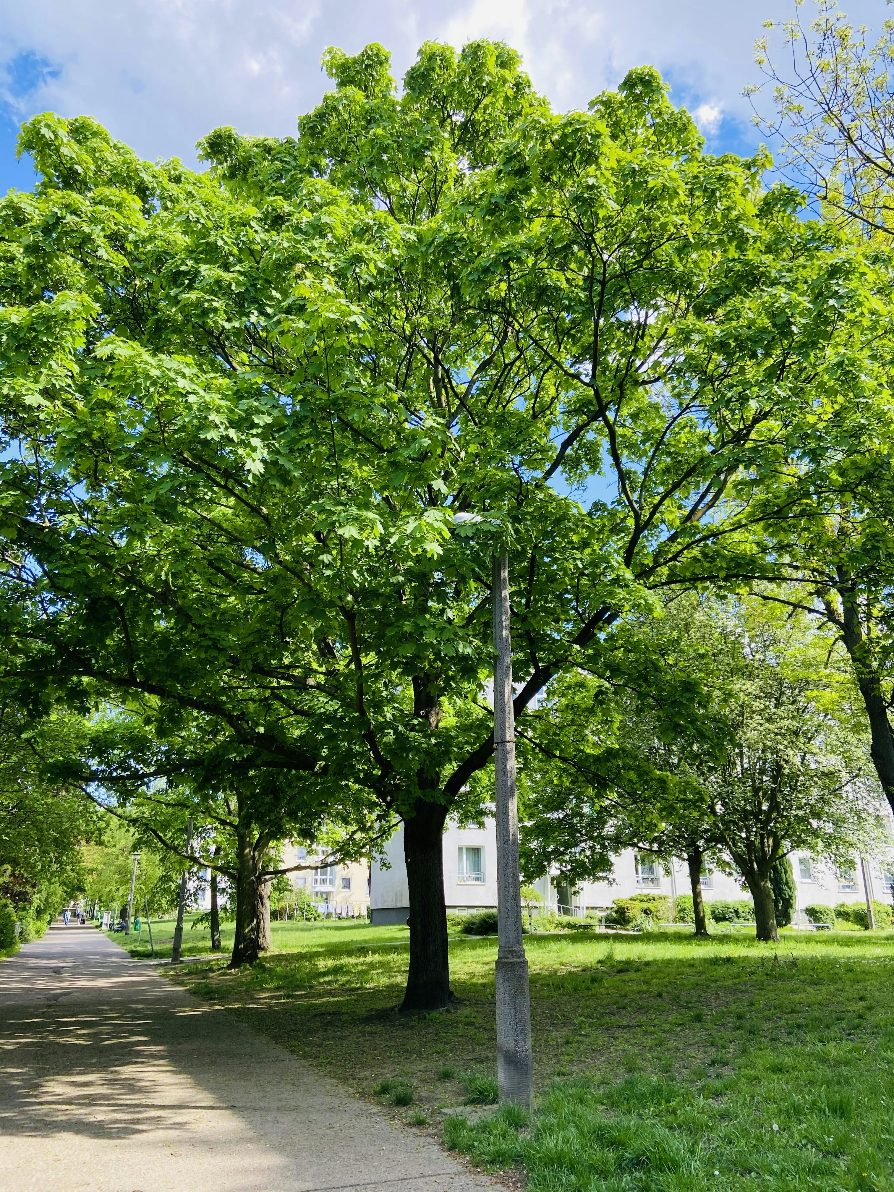 Photo by jonasfromberlin