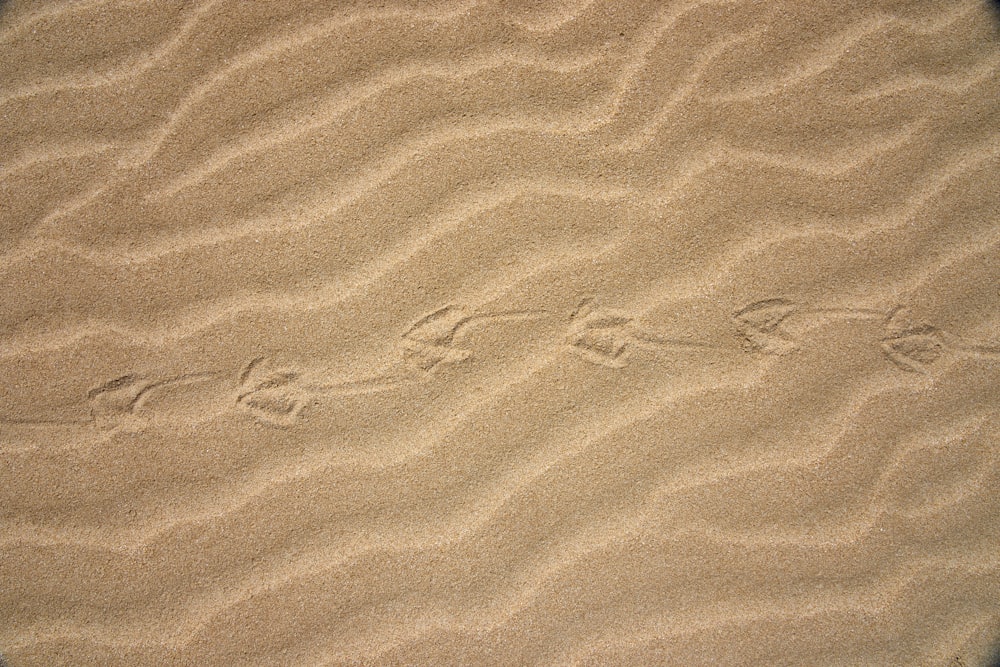 brown sand with shadow of person