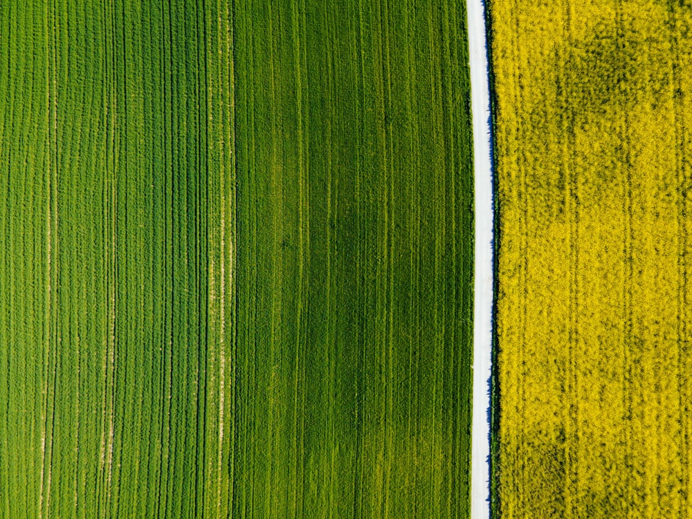 yellow white and green striped textile