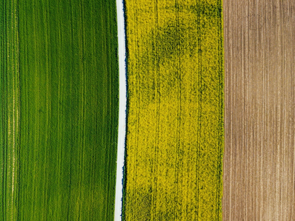 green and yellow striped textile