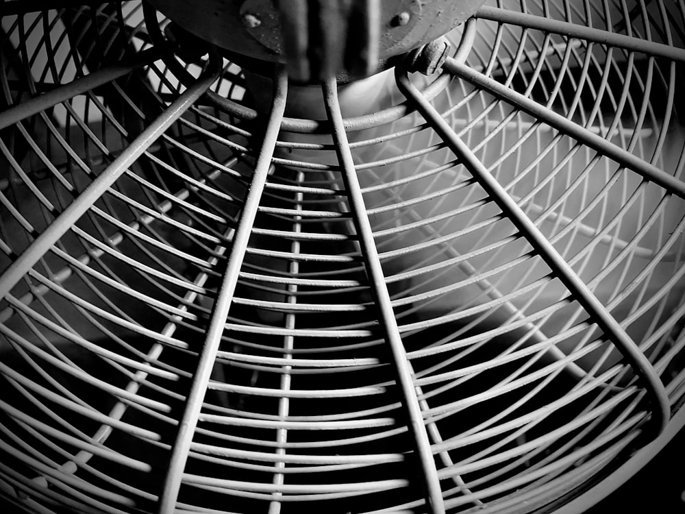 white fan in close up photography