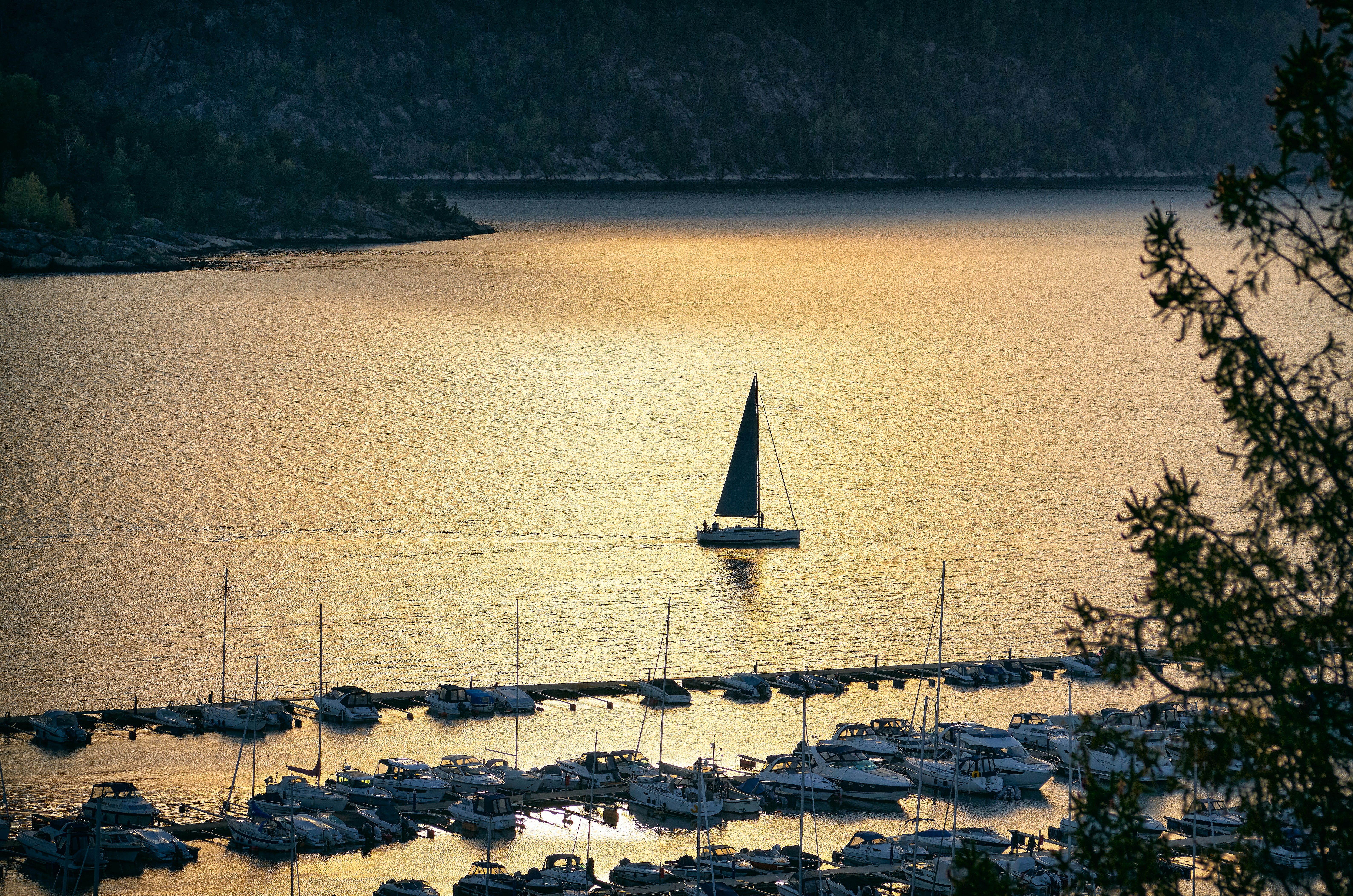Photo by vidarnm