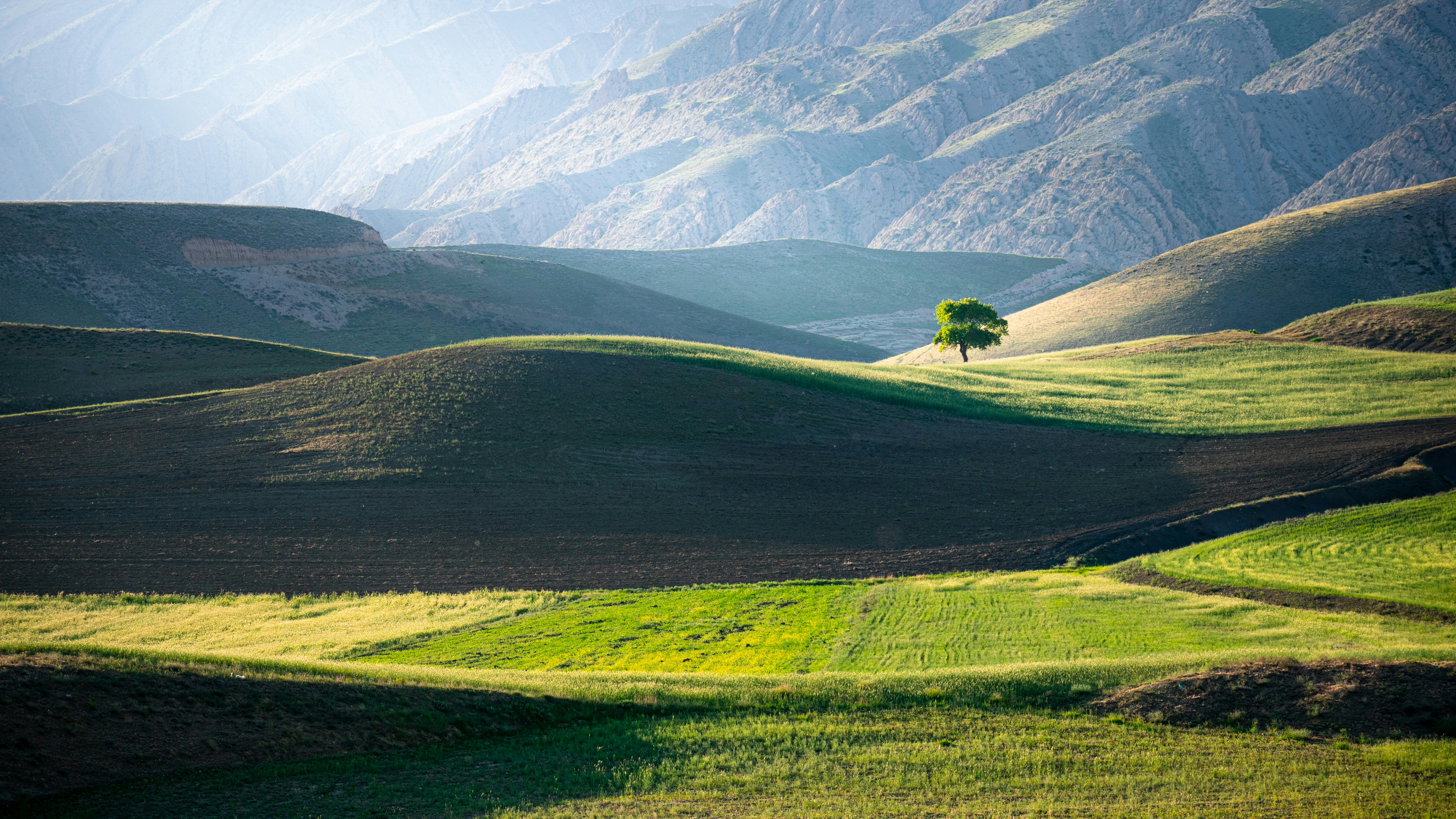 Photo by saruman2008