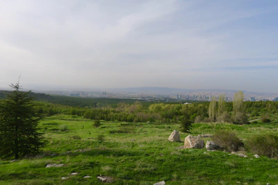 A spacious plot of land with green grass and cityscape views in the background.