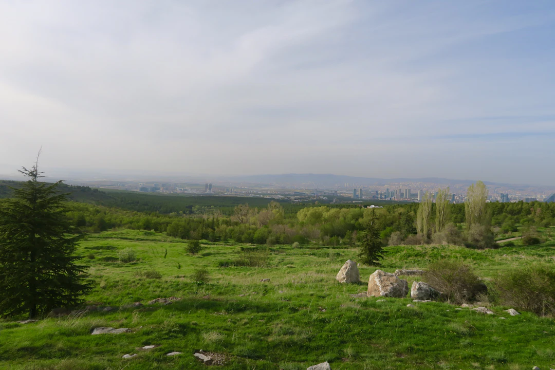 9-Day Jordan & Lebanon Family Itinerary - April Travel