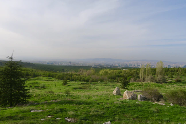 9-Day Jordan & Lebanon Family Itinerary - April Travel