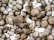 A collection of brown mushrooms densely packed together, with varying sizes and slightly conical shapes. The mushrooms have a textured surface with light and dark brown shades creating a natural, earthy appearance.