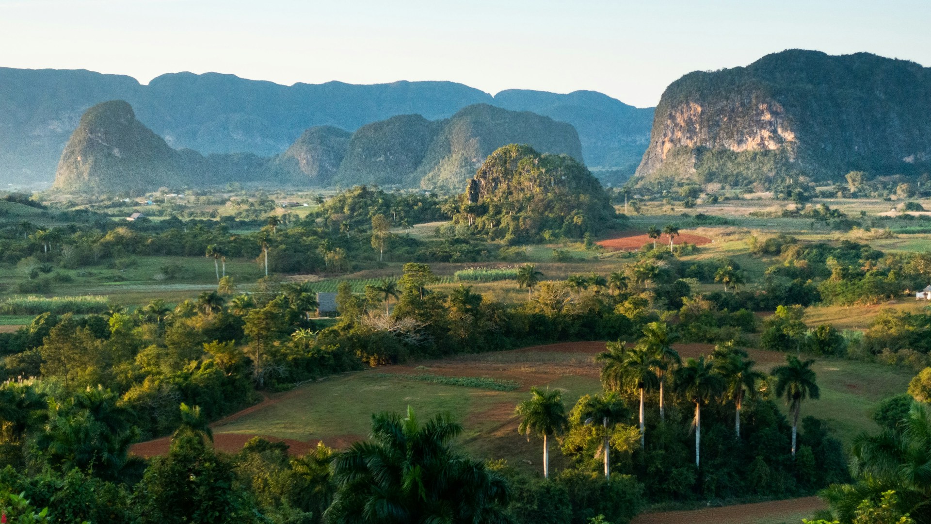 green trees and grass field near mountain during daytime