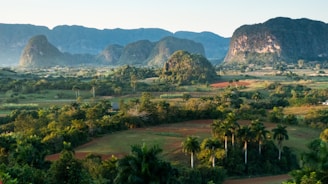 green trees and grass field near mountain during daytime