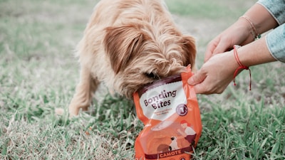 A brown furry dog is eating from a bag of pet food labeled 'Bonding Bites' while a person's hands hold the bag. The scene takes place outdoors on grass.