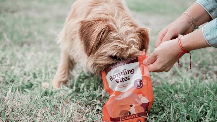 A brown furry dog is eating from a bag of pet food labeled 'Bonding Bites' while a person's hands hold the bag. The scene takes place outdoors on grass.