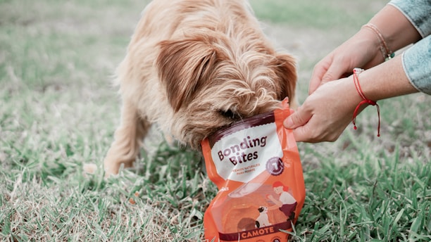 A brown furry dog is eating from a bag of pet food labeled 'Bonding Bites' while a person's hands hold the bag. The scene takes place outdoors on grass.