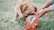 A brown furry dog is eating from a bag of pet food labeled 'Bonding Bites' while a person's hands hold the bag. The scene takes place outdoors on grass.