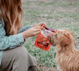 woman in blue denim jacket holding brown long coated dog