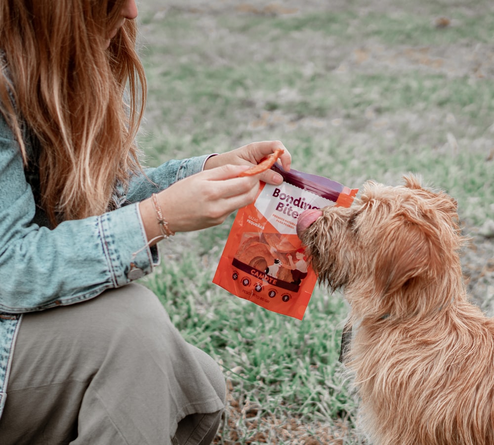 woman in blue denim jacket holding brown long coated dog