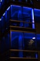 blue and yellow glass window