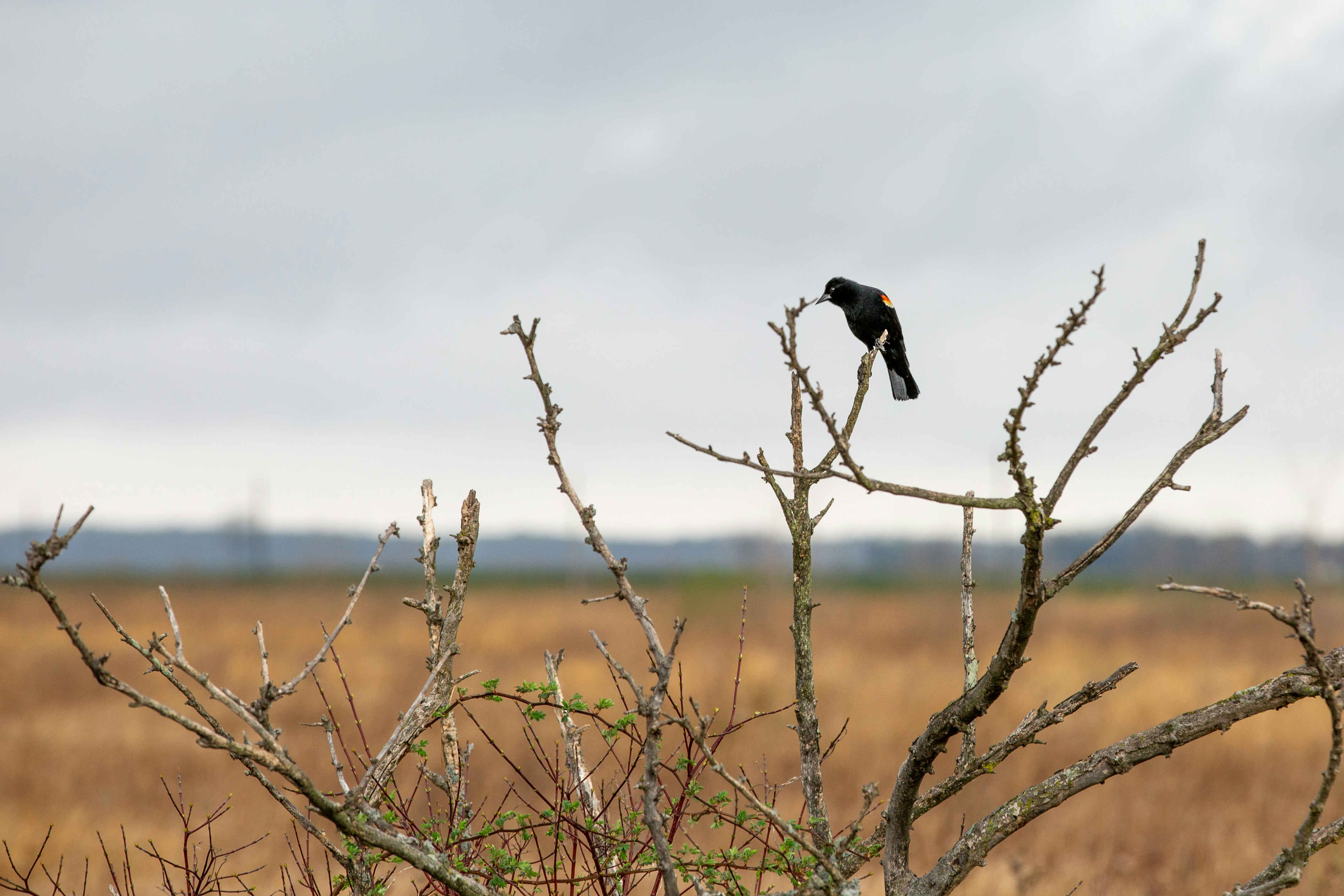 Photo by ________________1a