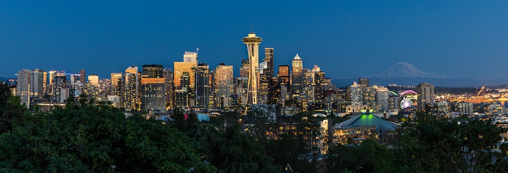 city skyline during night time