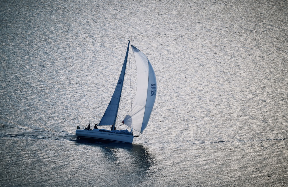 white sail boat on sea during daytime