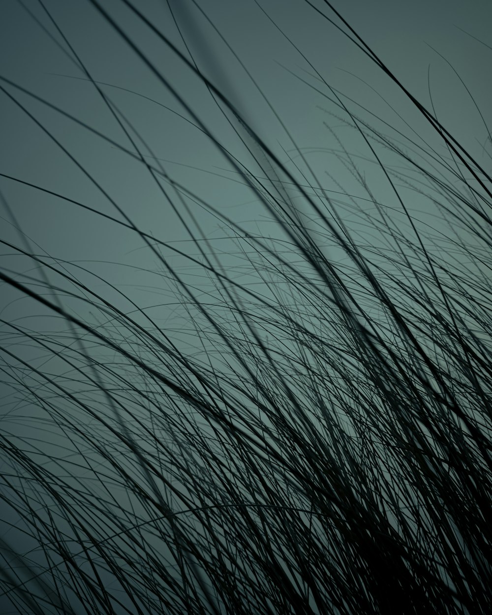 Effet de lumière bleue et blanche