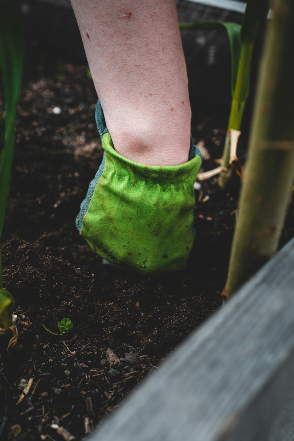 person in green shorts standing on brown soil