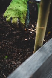A gloved hand is tending to soil in a garden bed. The glove is green with visible dirt on it, and there is a small green plant sprouting from the dark soil.