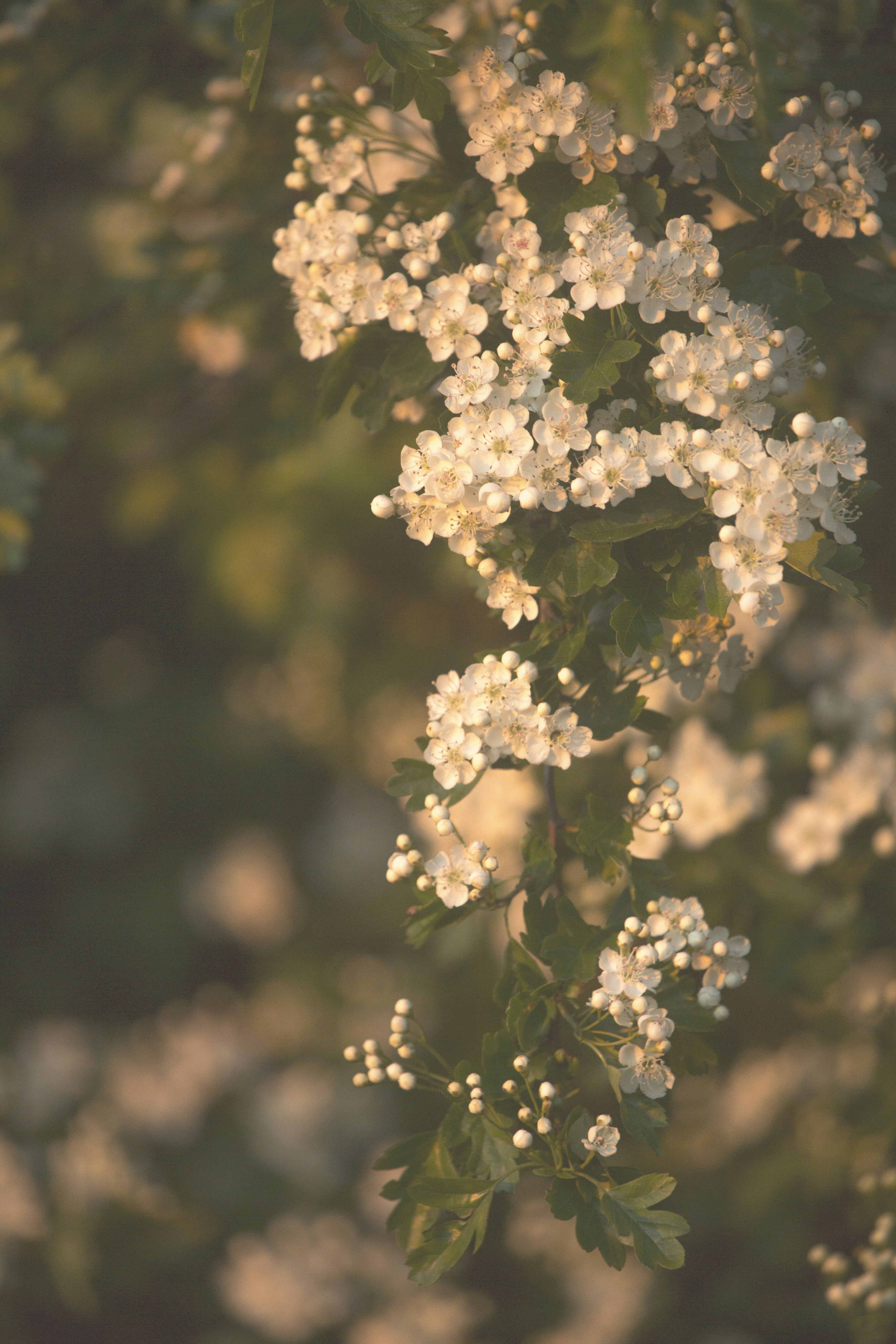 Photo by ditakesphotos