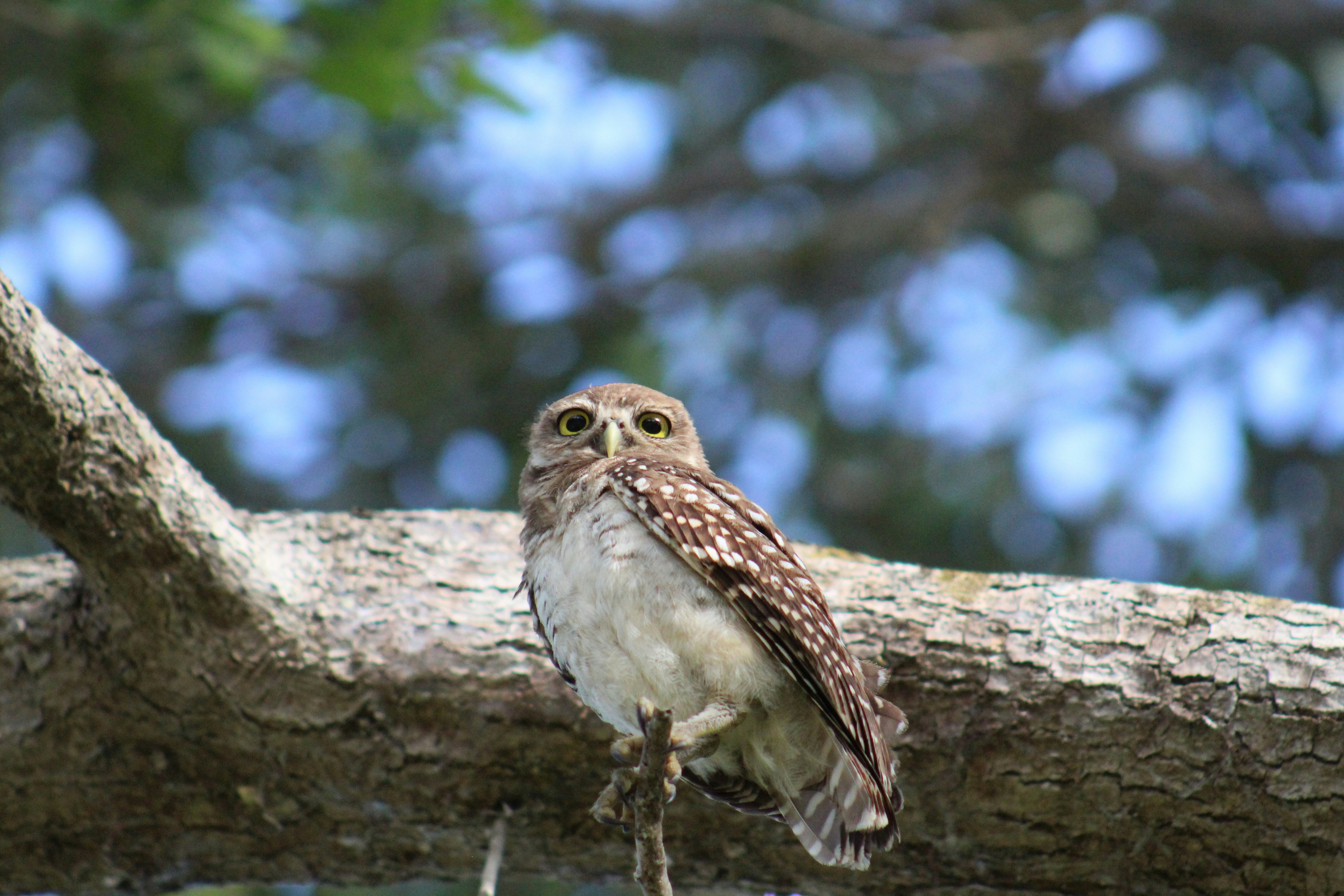 Photo by thelensoflife