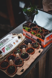 white and green labeled box
