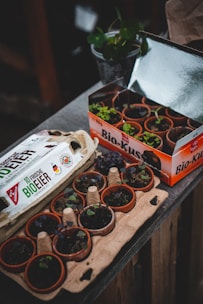 white and green labeled box