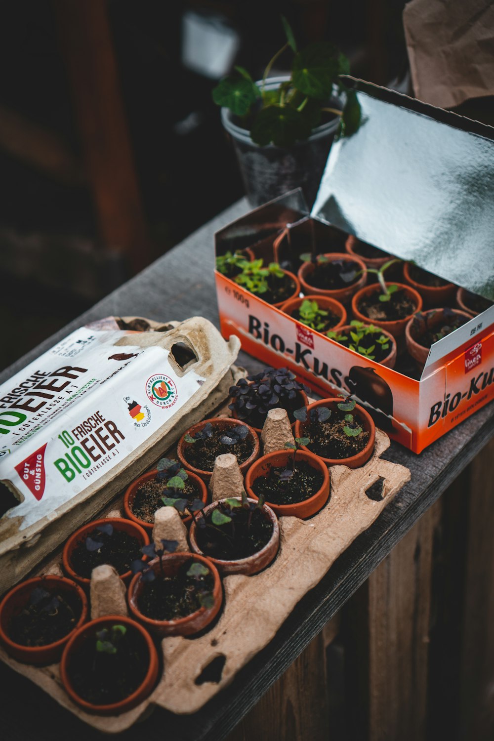 Caja etiquetada en blanco y verde